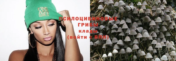 MDMA Premium VHQ Богородицк