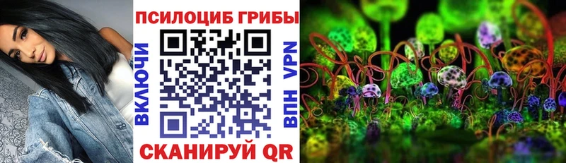 Псилоцибиновые грибы Cubensis  MEGA маркетплейс  Кораблино 
